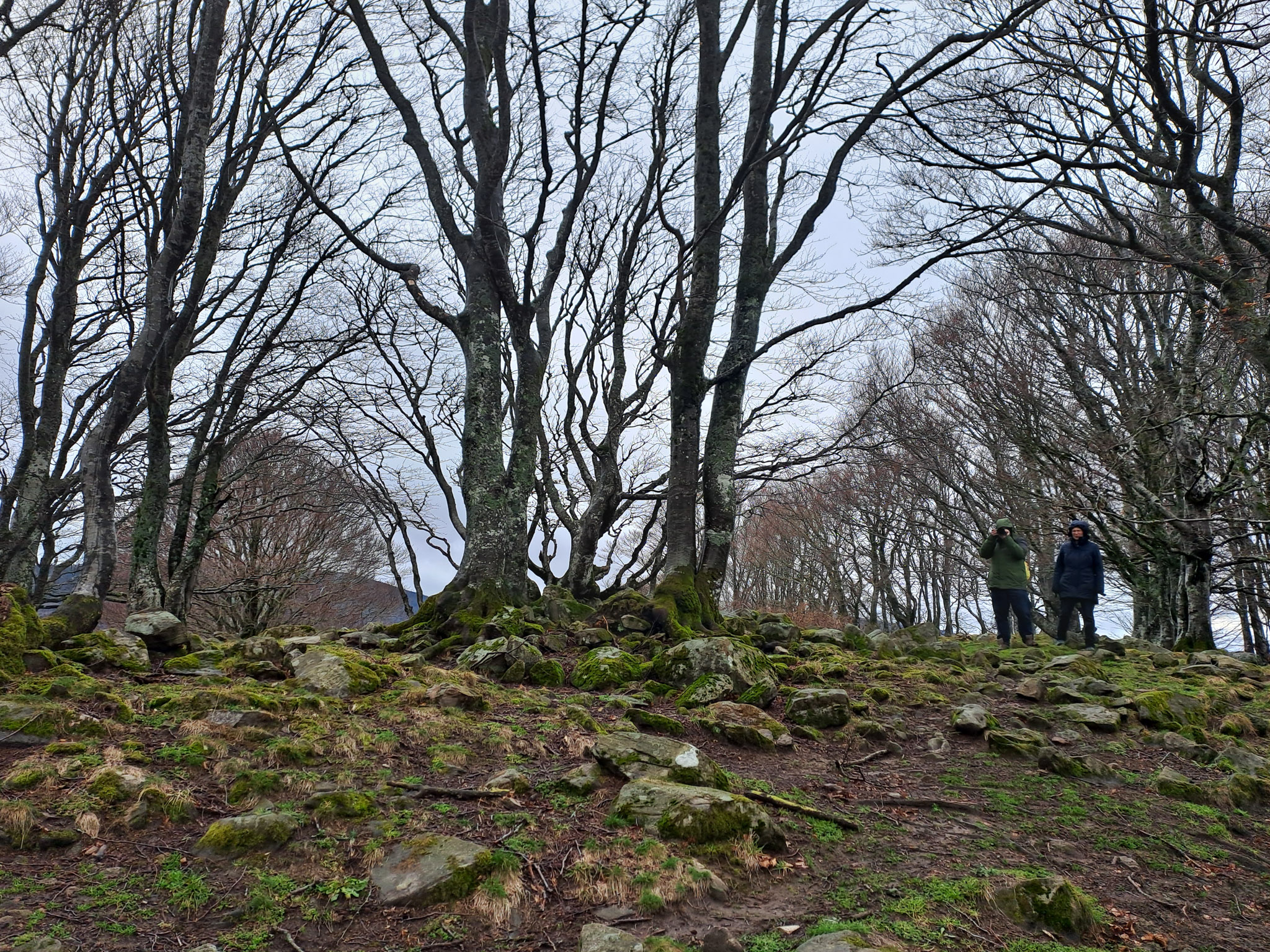 20230401154016 154016